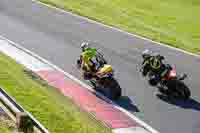 Middle Group Yellow Bikes